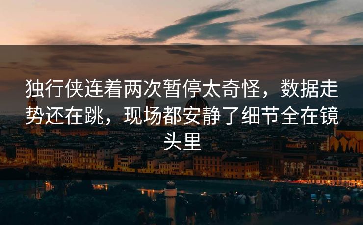 独行侠连着两次暂停太奇怪，数据走势还在跳，现场都安静了细节全在镜头里