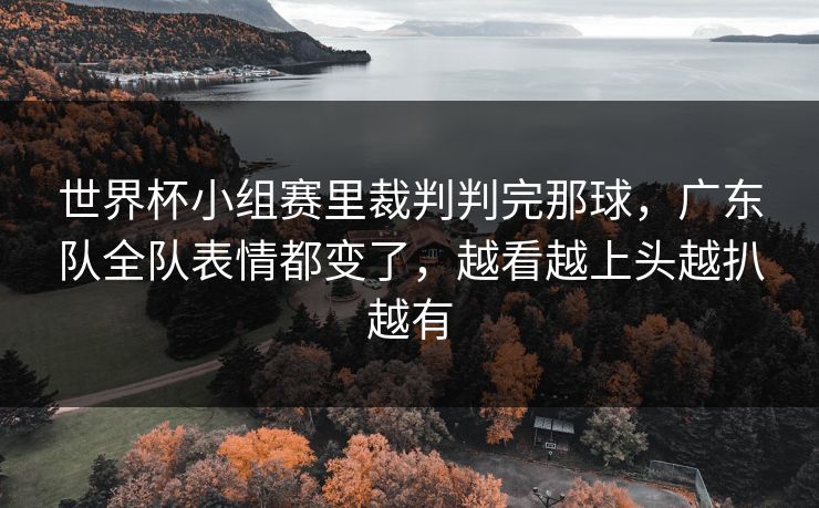 世界杯小组赛里裁判判完那球，广东队全队表情都变了，越看越上头越扒越有