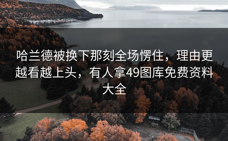哈兰德被换下那刻全场愣住，理由更越看越上头，有人拿49图库免费资料大全