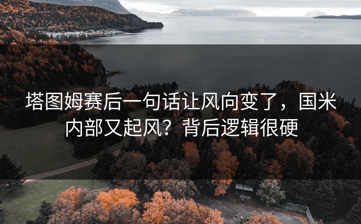 塔图姆赛后一句话让风向变了，国米内部又起风？背后逻辑很硬